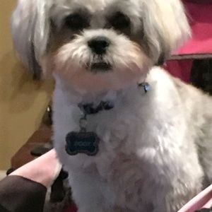 Meet your Posher, Deborah